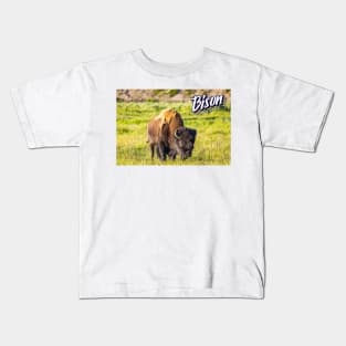 Bison at Yellowstone Kids T-Shirt